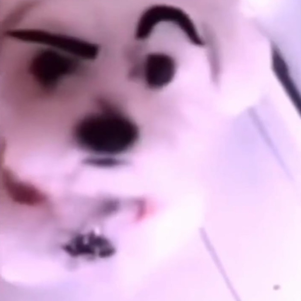 hi